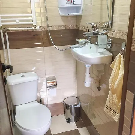 за гости бащино огнище *