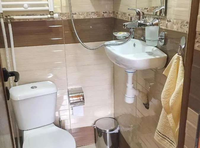 за гости бащино огнище *